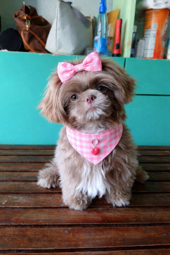 Shobee Ariano, 27, Philippines