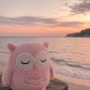 sleepy_owl