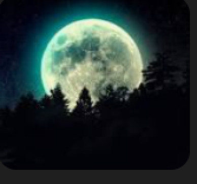 Has_l3, 19, United Arab Emirates