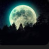 has_l3