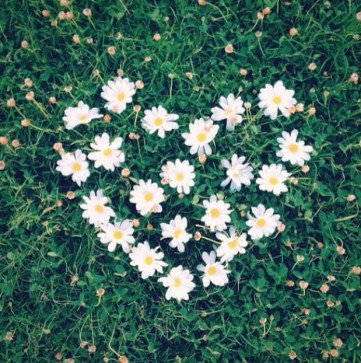 Cheezy_daisy, 99, United States