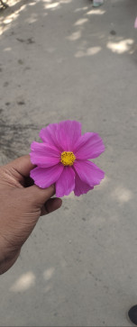 Rajesh Sharma, 18, India