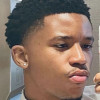 wayne h