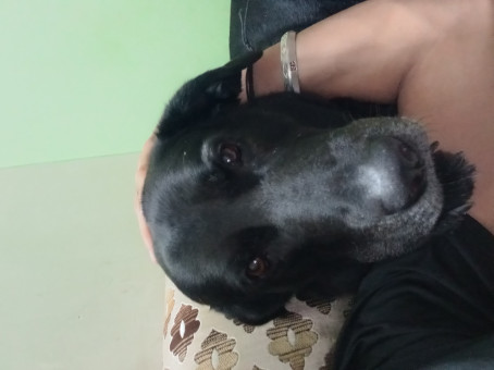 Ayush Chauhan, 18, India