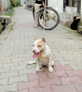 Onkar Bangar, 18, India