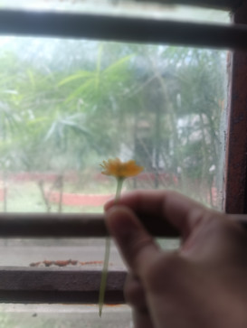 Bablu Hazarika, 18, India