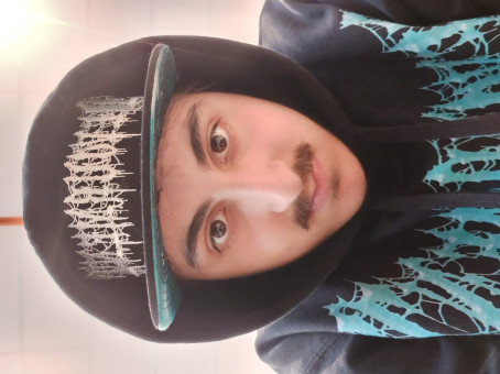 Willepille, 18, Sweden