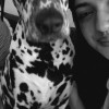 roxy the pig
