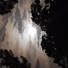 Lonely_Wolf