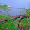 Fahad