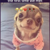 Pp