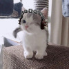 Cute