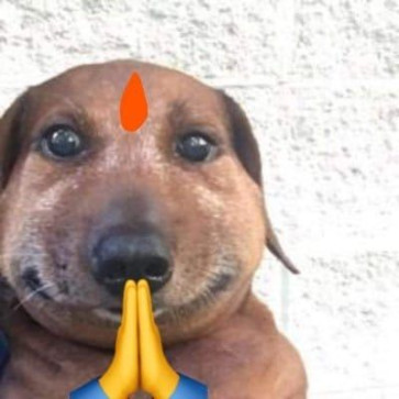 Addy, 21, India