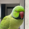 Azi