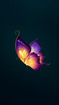 Buterflyy, 97, India