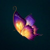 Buterflyy