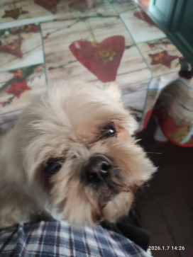 Ruby, 33, United Kingdom