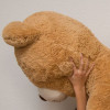 TallTeddy