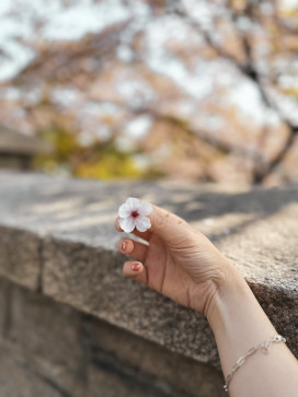 Mey, 34, Indonesia