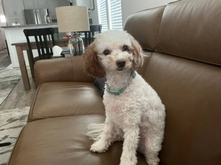 Ashleigh, 35, United States