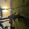 Marrie Jallow