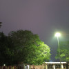 Vinod Vinod