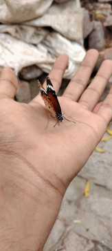 Afiya Khan, 18, India