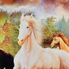 Ankush