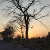 Rushikesh Kokare