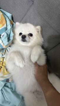 , 18, Taiwan