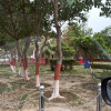 Don039t_open_dm