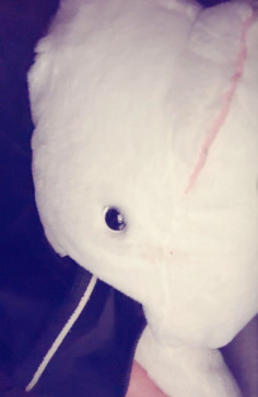 Bestaltyh0e, 18, United States