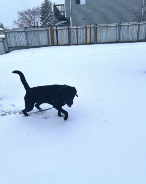 Lilly, 28, United States