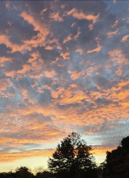 JG, 32, United States