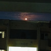 Your Nathu