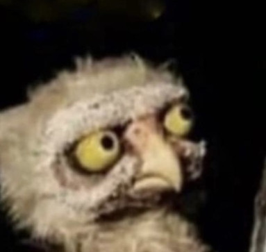 Anonymous, 22, United Kingdom