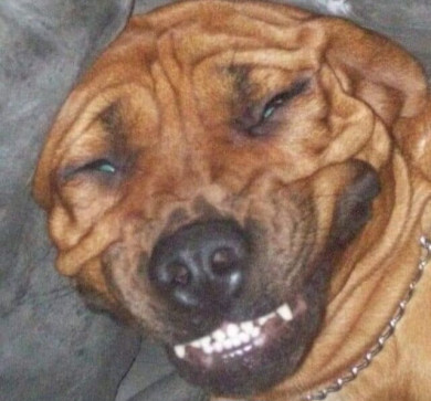 Jason, 21, United States