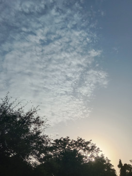 Adarsh Raj, 18, India