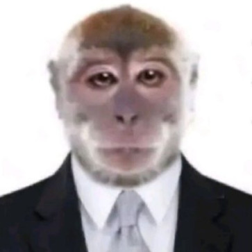 PhysicsPadhle, 18, India