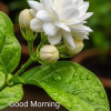 Ajoy Dutta
