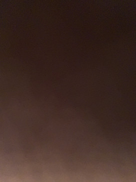 Johny Johny, 18, Canada