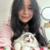 Mini loona