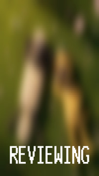 Self Natalie, 26, United States