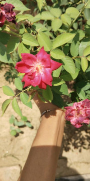 Shubhjeet Prajapati , 19, India