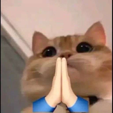 Mieyy, 22, Malaysia