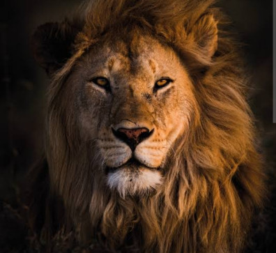 Sher E Baloch, 18, India