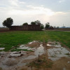 Rahul