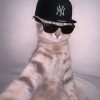 Axctuallyy HX0TTERR