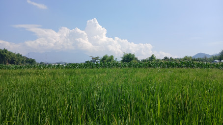 Puki May, 18, Indonesia
