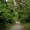 Siddharth